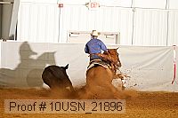 10usn_21896 proof