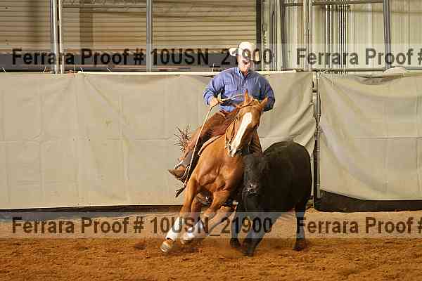 Proof 10usn_21900