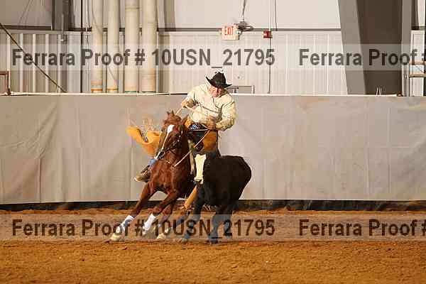 Proof 10usn_21795