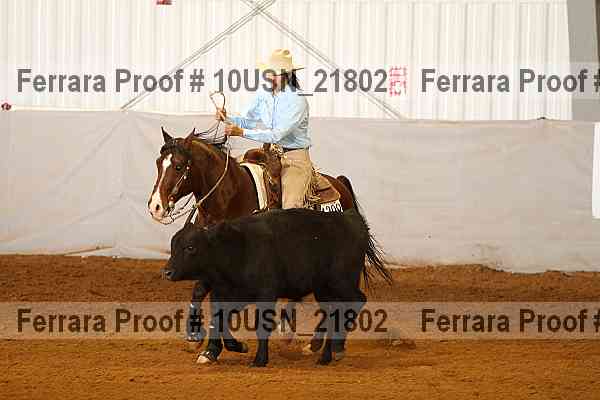 Proof 10usn_21802