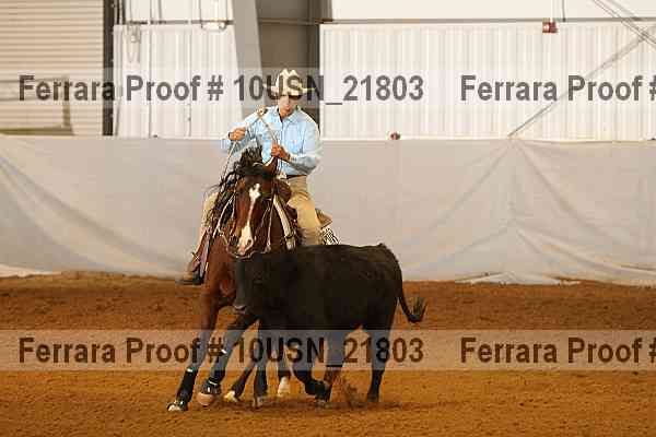 Proof 10usn_21803