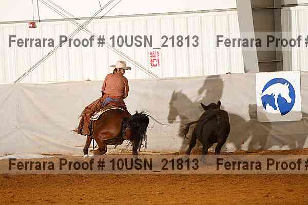 Proof 10usn_21813