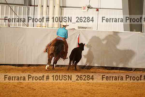 Proof 10usn_26284