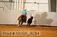 10usn_26284 proof