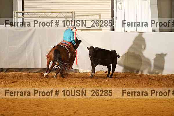 Proof 10usn_26285