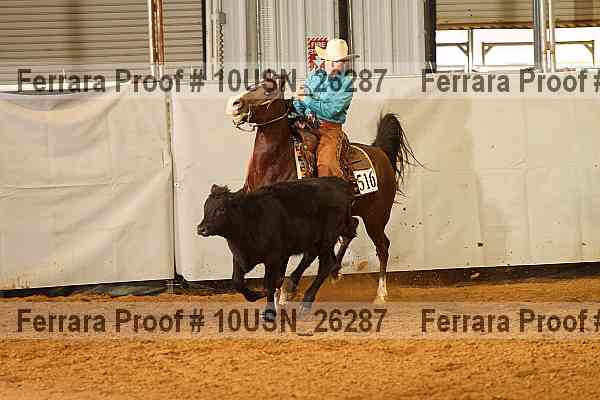 Proof 10usn_26287