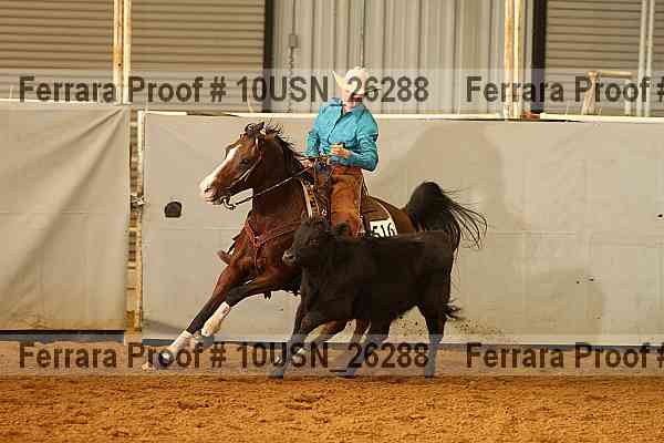 Proof 10usn_26288