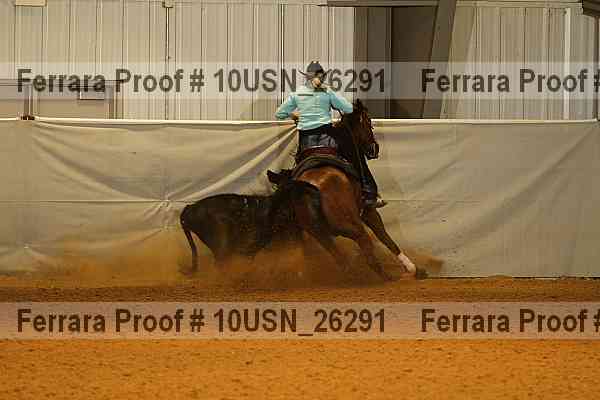 Proof 10usn_26291