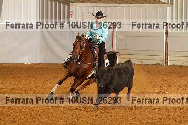 Proof 10usn_26293