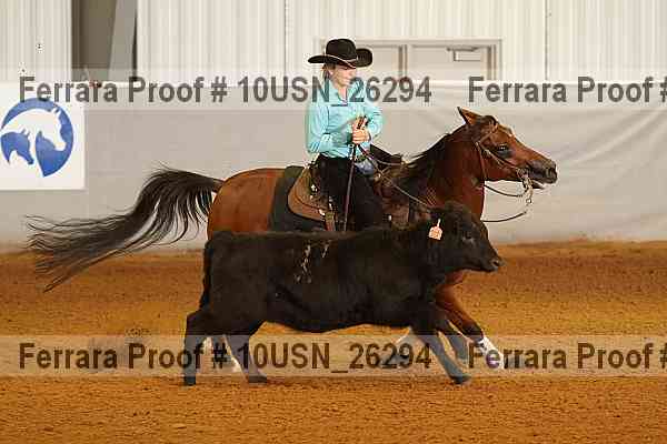 Proof 10usn_26294