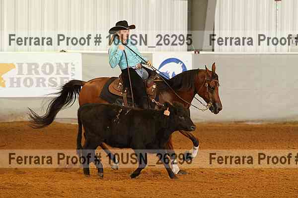 Proof 10usn_26295
