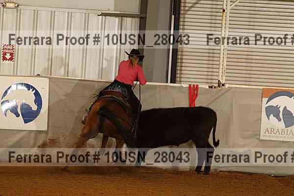 Proof 10usn_28043