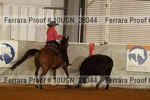Proof 10usn_28044
