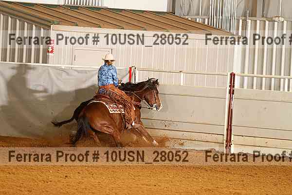 Proof 10usn_28052