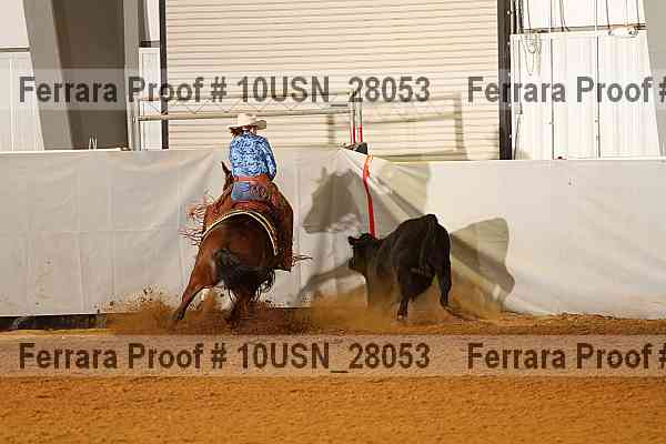 Proof 10usn_28053