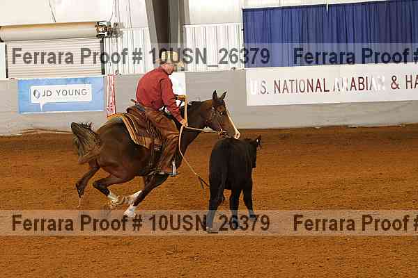 Proof 10usn_26379