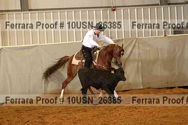 Proof 10usn_26385