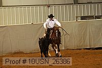 10usn_26386 proof