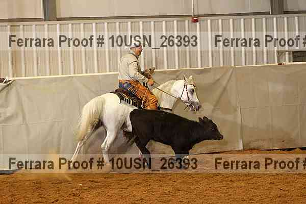 Proof 10usn_26393
