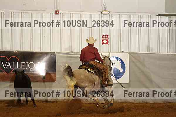 Proof 10usn_26394