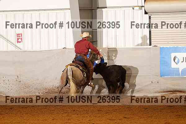 Proof 10usn_26395