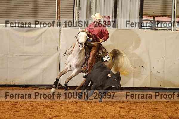 Proof 10usn_26397