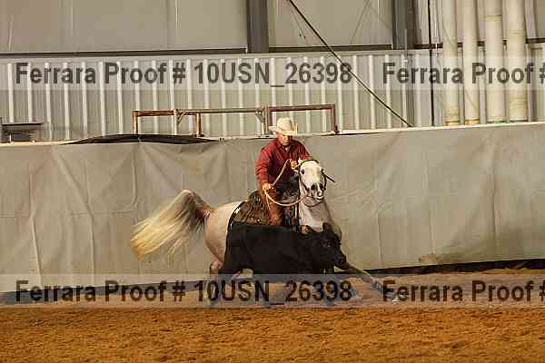 Proof 10usn_26398