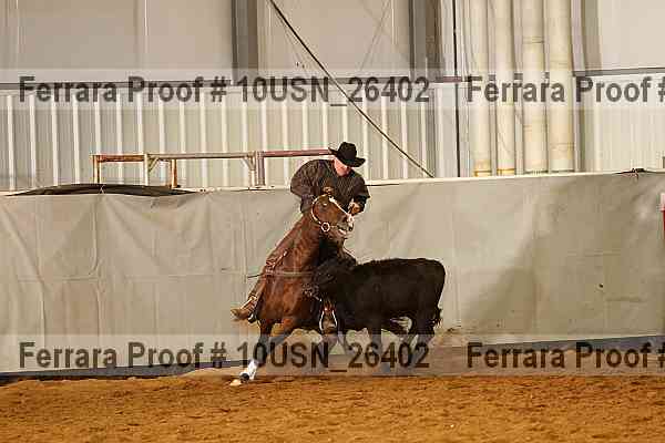 Proof 10usn_26402