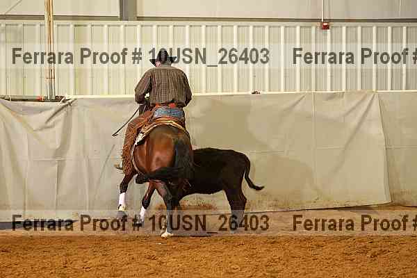 Proof 10usn_26403