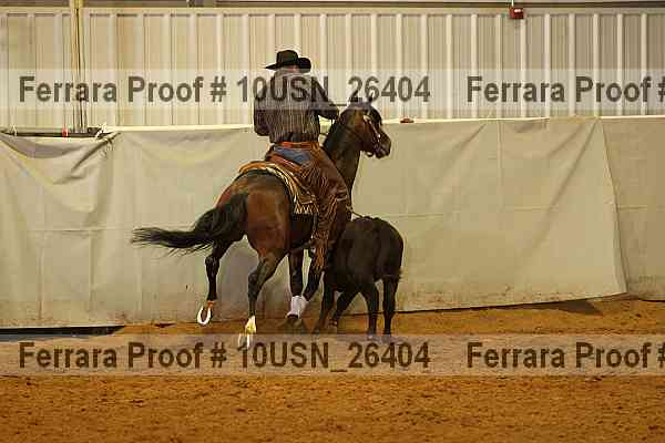 Proof 10usn_26404