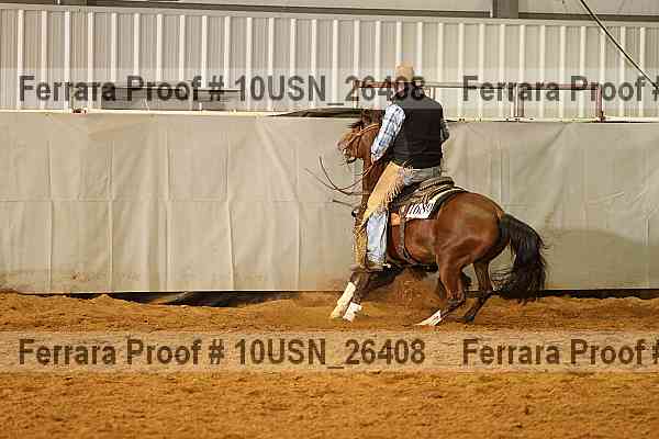 Proof 10usn_26408
