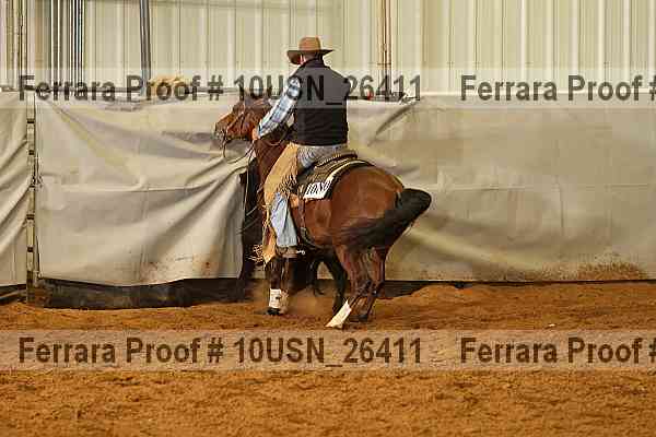 Proof 10usn_26411
