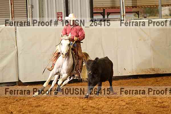 Proof 10usn_26415