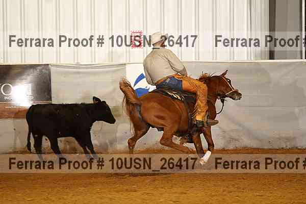 Proof 10usn_26417