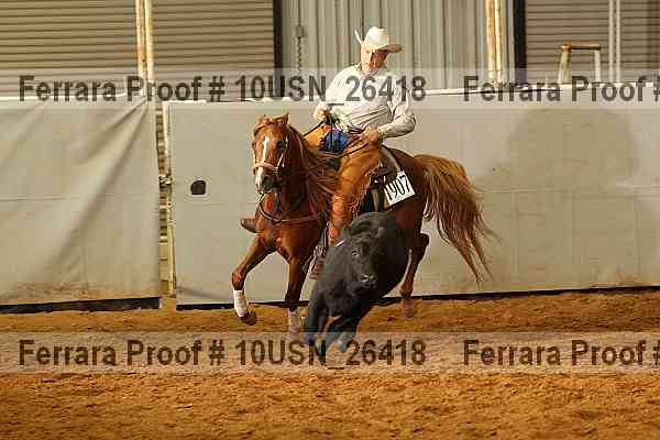Proof 10usn_26418