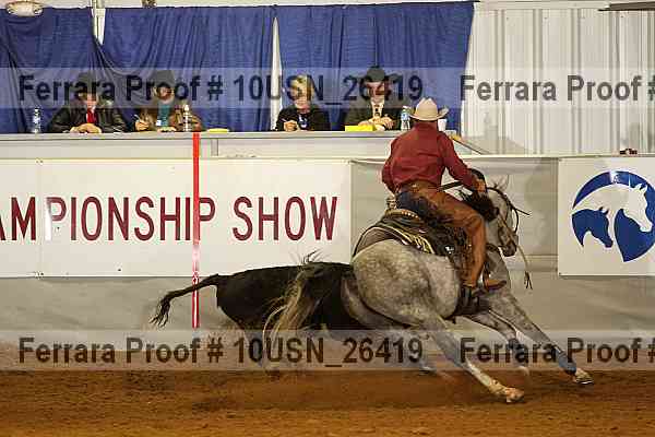 Proof 10usn_26419