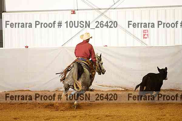Proof 10usn_26420