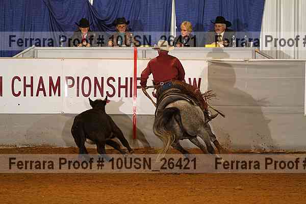Proof 10usn_26421