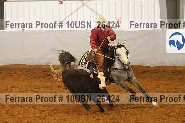 Proof 10usn_26424