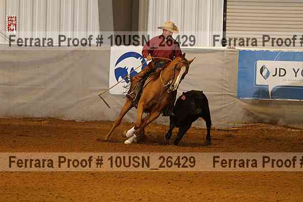 Proof 10usn_26429