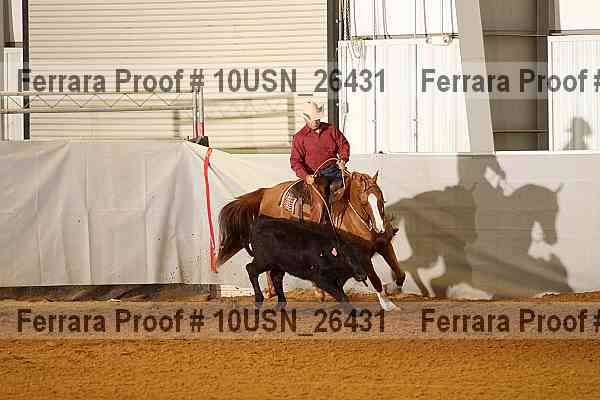 Proof 10usn_26431