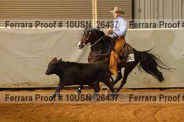 Proof 10usn_26437