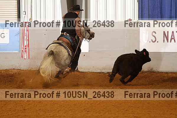 Proof 10usn_26438
