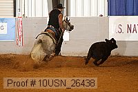 10usn_26438 proof