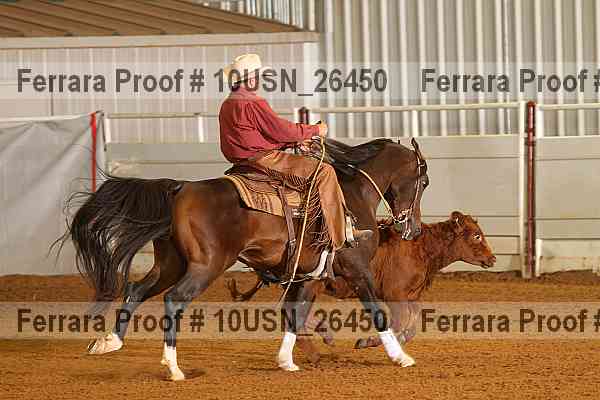 Proof 10usn_26450