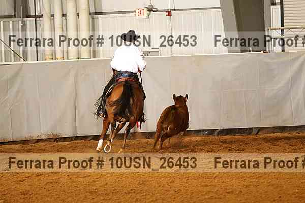 Proof 10usn_26453