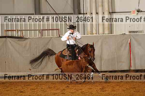 Proof 10usn_26461