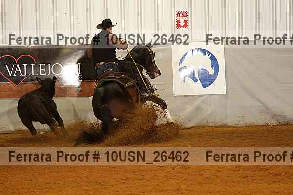 Proof 10usn_26462