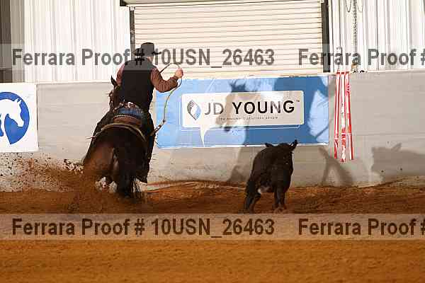 Proof 10usn_26463