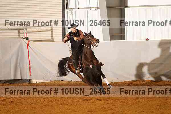 Proof 10usn_26465